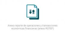 Anexo reporte de operaciones y transacciones económicas financieras (anexo ROTEF)