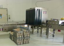 Certificado zoosanitario de producción y movilidad - Plantas de Incubación para aves.