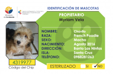 Registro de mascotas