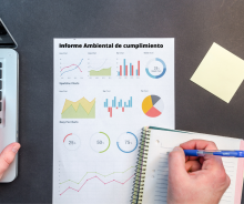 Informe ambiental
