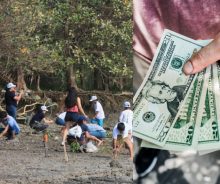 Pago facilitador