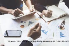 TÉRMINOS DE REFERENCIA DE LA AUDITORÍA AMBIENTAL 