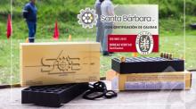 Armas, municiones y equipamiento