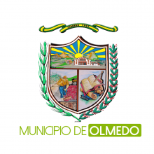 LOGO GAD OLMEDO