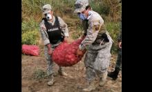 DESTRUCCIÓN DE MERCANCÍAS