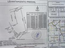 INGRESO DEPREDIOS RURALES 