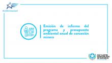 Emisión de informe del programa y presupuesto ambiental anual de concesión minera