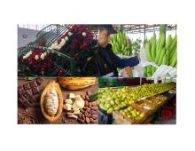 Productos vegetales ecuatorianos