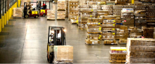 Registro de Ingreso/Salida de Mercancías de Importación