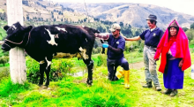 SOLICITUD DE CERTIFICADO ZOOSANITARIO DE PRODUCCIÓN Y MOVILIDAD PARA FUNCIONAMIENTO DE CENTROS DE MATERIAL REPRODUCTIVO