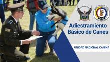Adiestramiento básico, cuidado, manejo y tenencia responsable de canes dirigido a la ciudadanía