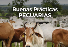 Buenas Prácticas Pecuarias