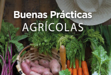 Buenas Prácticas Agrícolas