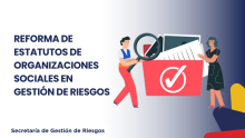 17 Reforma estatutos OSGR