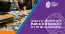 Acceso a las colecciones de los museos