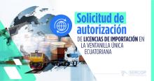 Autorización de importación en la VUE