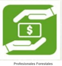 Certificado de Inscripción de Asistencia Técnica-Profesionales Forestales