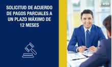 Solicitud de acuerdo de pagos parciales a un plazo máximo de 12 meses