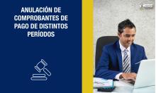 Anulación de comprobantes de pago de distintos períodos
