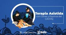 Terapia asistida con canes y equinos del CACMQ