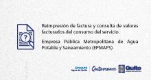 Reimpresión de factura y consulta de valores facturados