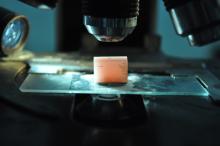 Análisis químicos, físicos y microbiológicos especializados para la investigación, conservación - restauración, inventario, autentificación y  puesta en valor de bienes pertenecientes al patrimonio del Estado Ecuatoriano