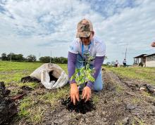 Solicitud de donación y siembra de árboles nativos