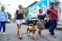 Brigada veterinaria