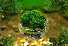 Registro Ambiental