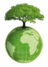 Certificado Ambiental