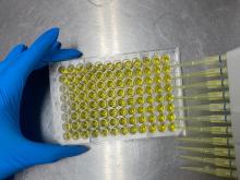 Pseudorabia Porcina ELISA