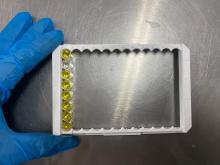 Rinotraqueítis Infecciosa Bovina ELISA