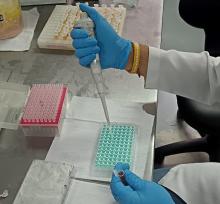 Mycoplasma gallisepticum por ELISA indirecto 