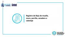 Registro de Baja de muelle, muro, parrilla, varadero o cabotaje