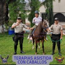 Terapias Asistida con Caballos para Personas con Discapacidad